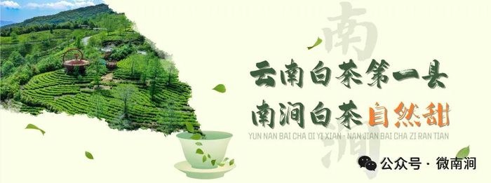 “电鸿”智慧配电落地西山跳菜村