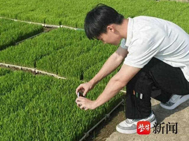图｜大学学子探索智慧施肥新路径